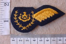8992 BSAP Reserve Air Wing Observer wing (PRAW) (C442)