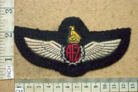 10522 Zimbabwe Air Force Pilot wings (C445)