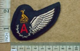 10521 Zimbabwe Air Force Aircrew wing (C446)