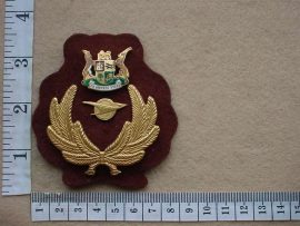 9571 South African Transport Services cap badge (C54)