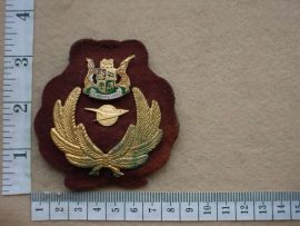 9572 South African Transport Services cap badge (SATS) (C54)