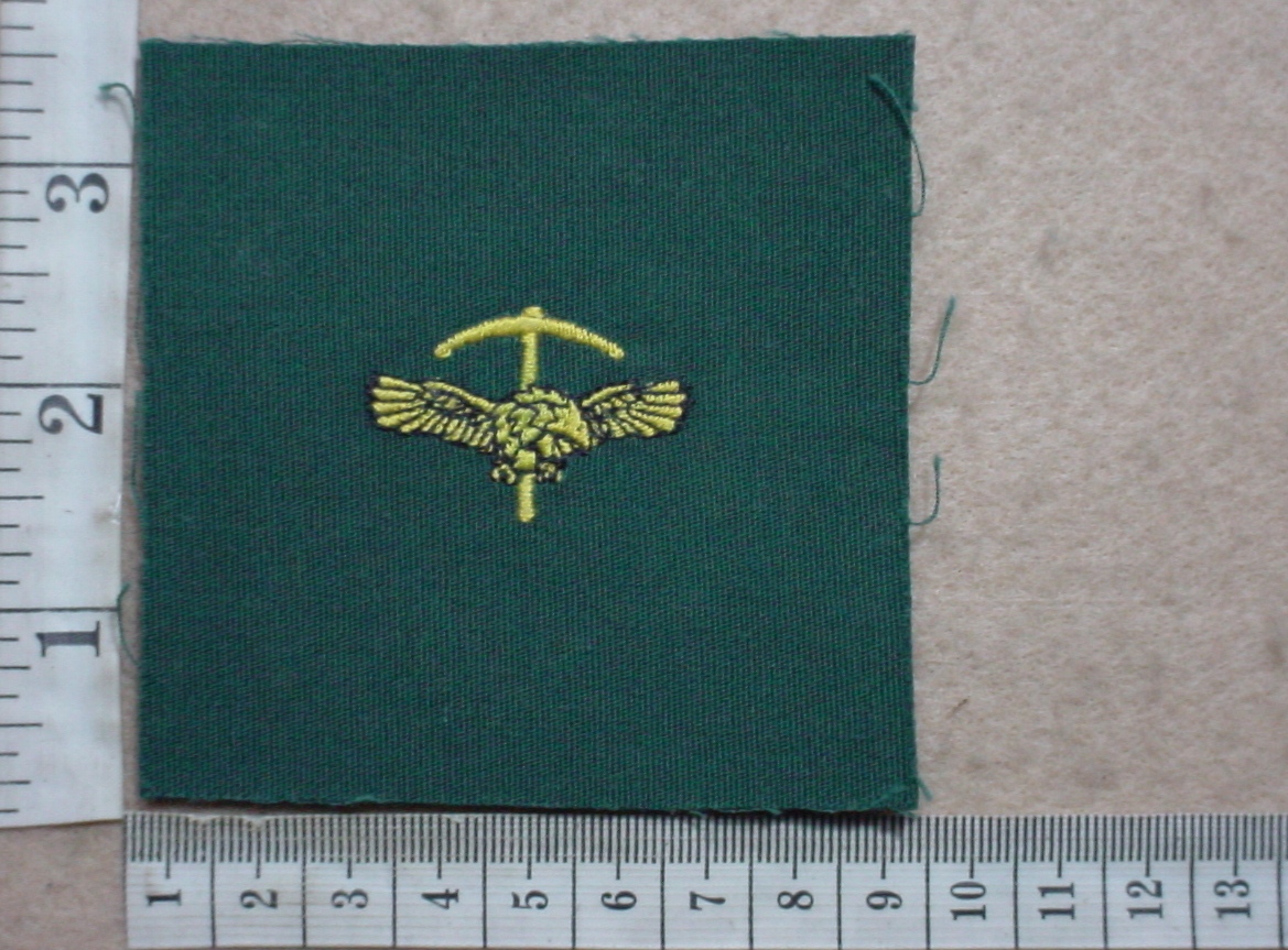 5016 Rhodesian Air Force flight suit badge or sports badge (DW2 289)