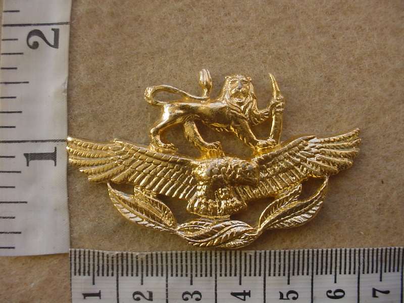 1984 Rhodesian Air Force Master Technician rank badge (DW2 364)