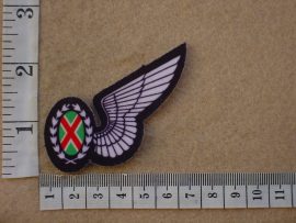 10341 South African Air Force Commando Observer wing (C696)