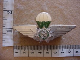 6566 Ciskei Police Paratrooper parachute wings (C741)