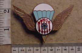 8880 Mozambique National Resistance parachute wings, variation (C752)