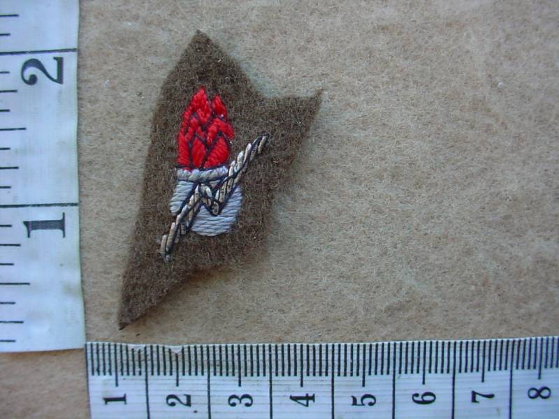 5196 SWA Army Explosives Ordnance Disposal badge, EOD (C779)