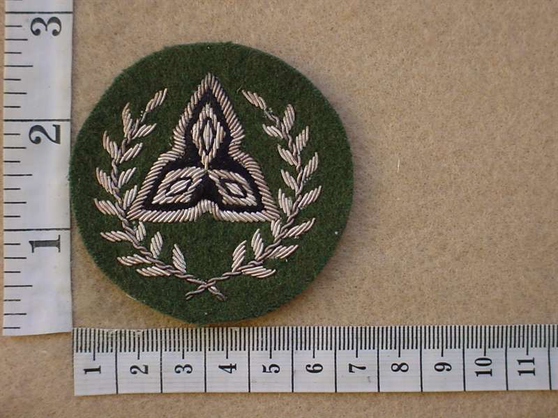 10362 South West Africa Army Regimental Sergeant Major (C786)
