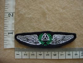 10363 SWA Air Force Pilot wings (C791)