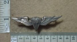 8364 South West African Army Parachute wings, Basic (C801)