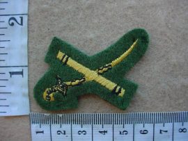 6183 SWA Army Generals rank badge (Ref. C806)