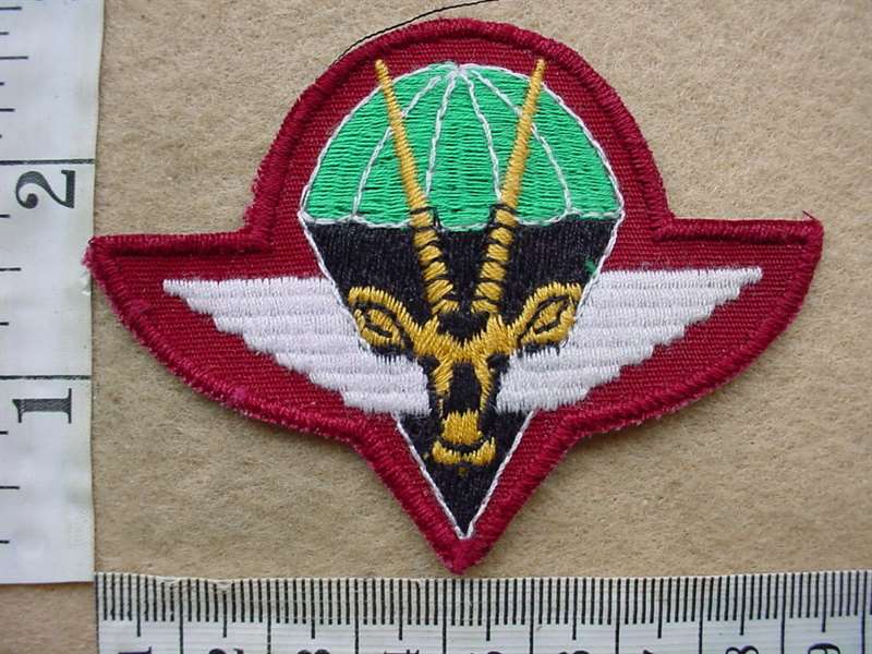 8363 South West African Parachute Battalion beret badge (C820)