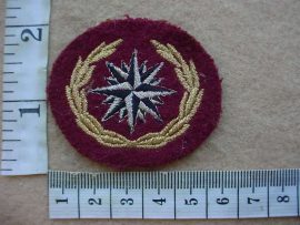 10872 Recce Regiment beret badge (Ref. C890)