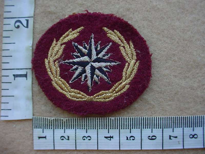 10872 Recce Regiment beret badge (Ref. C890)