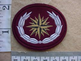 10470 South African Special Forces beret badge (C890)