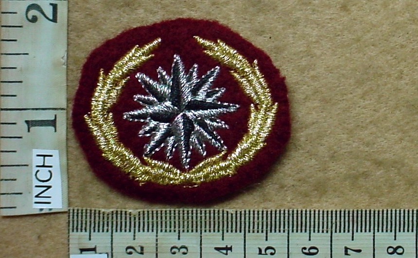 2121 Reconnaissance Commando beret badge (C890)