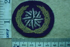4602 Reconnaissance Commando beret badge, 1980's, 1st private purchase (C891)