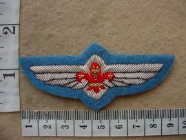 9626 South African Boy Scouts Pilot wings (C902)