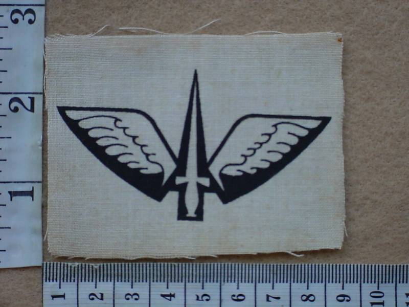 7178 Reconnaissance Commando prototype beret badge (Ref. C908 var)