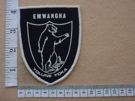 2252 SWA Police Koevoet Emwangha Tolune Yoka arm flash (Ref. C938)
