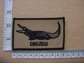 2259 SWA Police Koevoet Ongadu arm flash (Ref. C944)