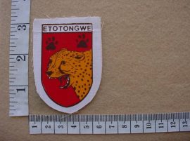 2274 SWA Police Koevoet Etotongwe arm flash (Ref. C969)