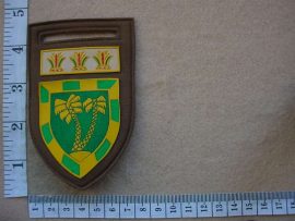 5423 SWA 53 Battalion arm flash (Ref. C999)