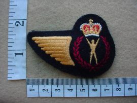 2770 Royal Canadian Air Force Physical Training Instructor (AF Canada)