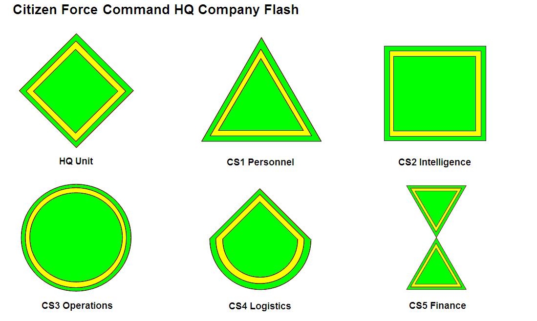 5429 South African Army Citizen Force Command CS2 Intelligence company arm flash (DW1 47 76) - Image 2
