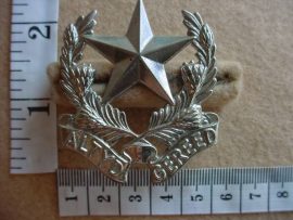 522 Regiment Botha cap badge (CO1028)