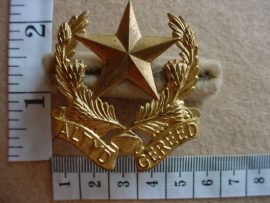 518 Regiment Botha cap badge (CO1028)