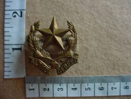 521 Regiment Botha collar badge, second pattern (CO1029)