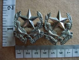 523 Regiment Botha collar badges (CO1029-1030)