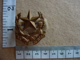 520 Regiment Botha collar badge (CO1029)