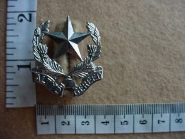 524 Regiment Botha collar badge (CO1029)