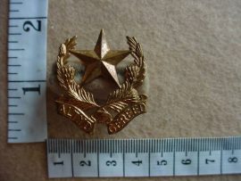 519 Regiment Botha collar badge (CO1029)