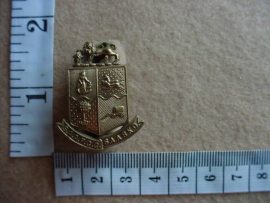 530 South African Administration, Pay and Clerical Corps collar badge (CO1046)