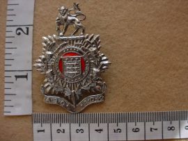 548 SA Army Admin Service Corps cap badge (CO1060)