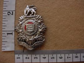 549 SA Army Admin Service Corps cap badge (CO1060)