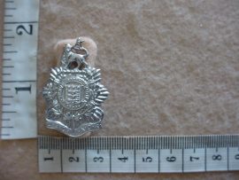 560 SA Admin Service Corps collar badge (CO1062)