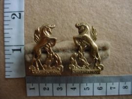 601 Regiment Bloemspruit collar badges (CO1119-CO1120)