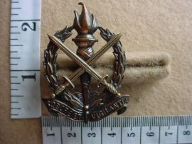 604 Regiment Schoonspruit cap badge (CO1121)