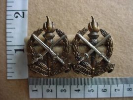 606 Regiment Schoonspruit collar badges (CO1122)