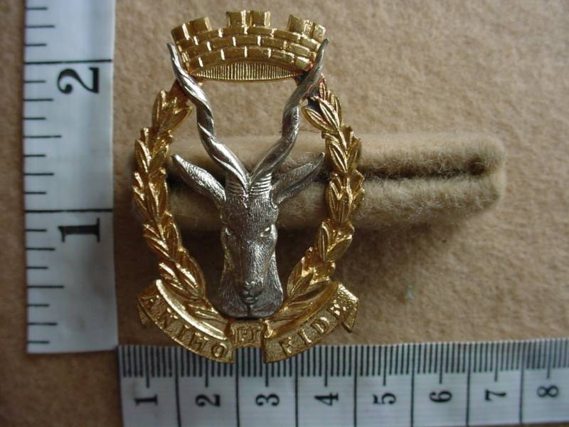 610 Regiment Windhoek cap badge (CO1133)