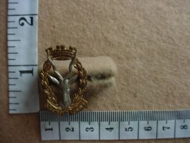 612 Regiment Windhoek collar badge (CO1134)