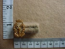 614 Regiment Windhoek collar badge, mess dress (CO1136)