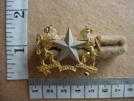 616 Regiment Molopo cap badge (CO1149)
