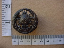 633 Regiment Western Province cap badge (CO1167)