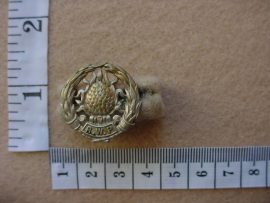 634 Regiment Western Province collar badge (CO1168)