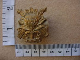 644 Regiment South Western Districts cap badge (CO1177)